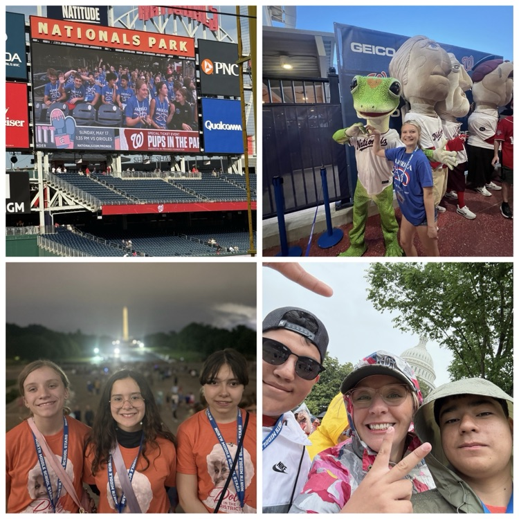 northmiddlestar's tweet photo. What a week in DC! 🇺🇸🚌 Our 8th graders made memories that will last a lifetime while exploring our nation’s capital! From historic landmarks 🏛️ to museums ✈️⚾️ and unforgettable moments with friends ❤️—this trip was one for the books! #NorthNation #DCTrip #MakingMemories https://t.co/NaD5OK2GSl