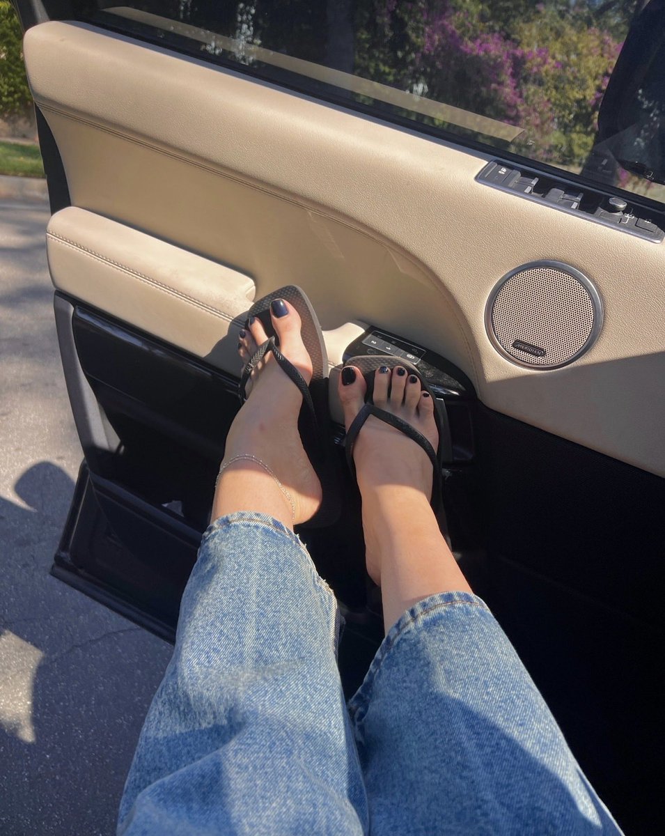 Hailey tweet media