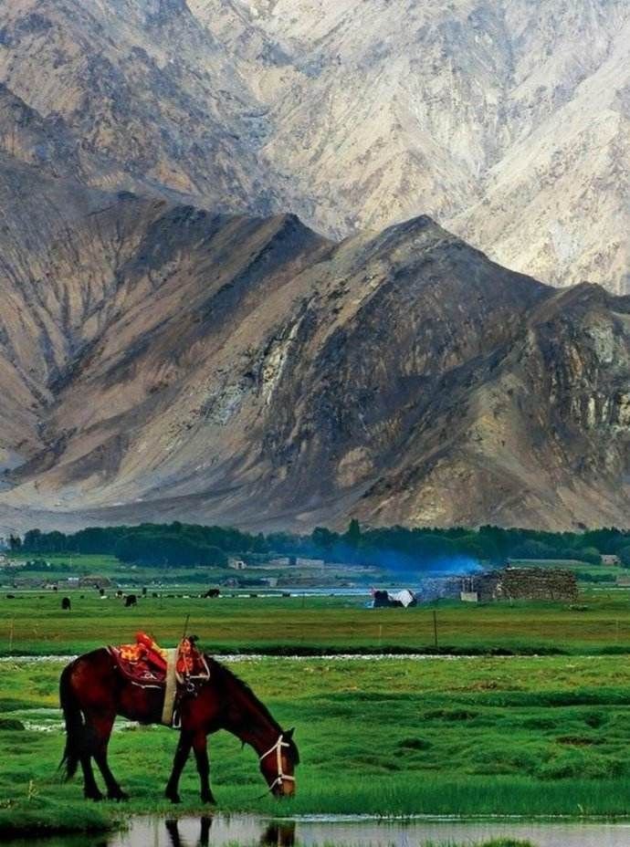 elyradream's tweet photo. Xinjiang, China https://t.co/XPyAbkxVJo
