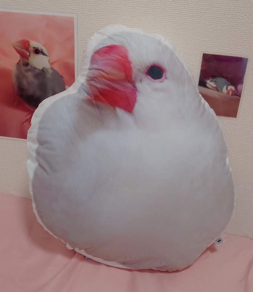 プッチ