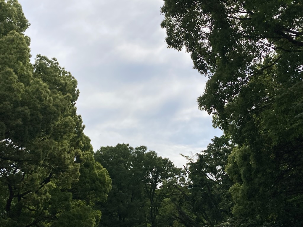 都立代々木公園 tweet media