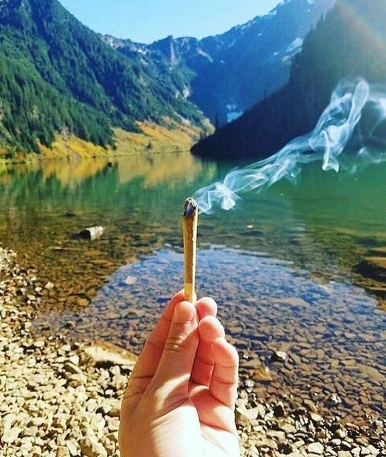 WeedPorns's tweet photo. Type of vibes I’m on this summer https://t.co/uH6REpNxu5