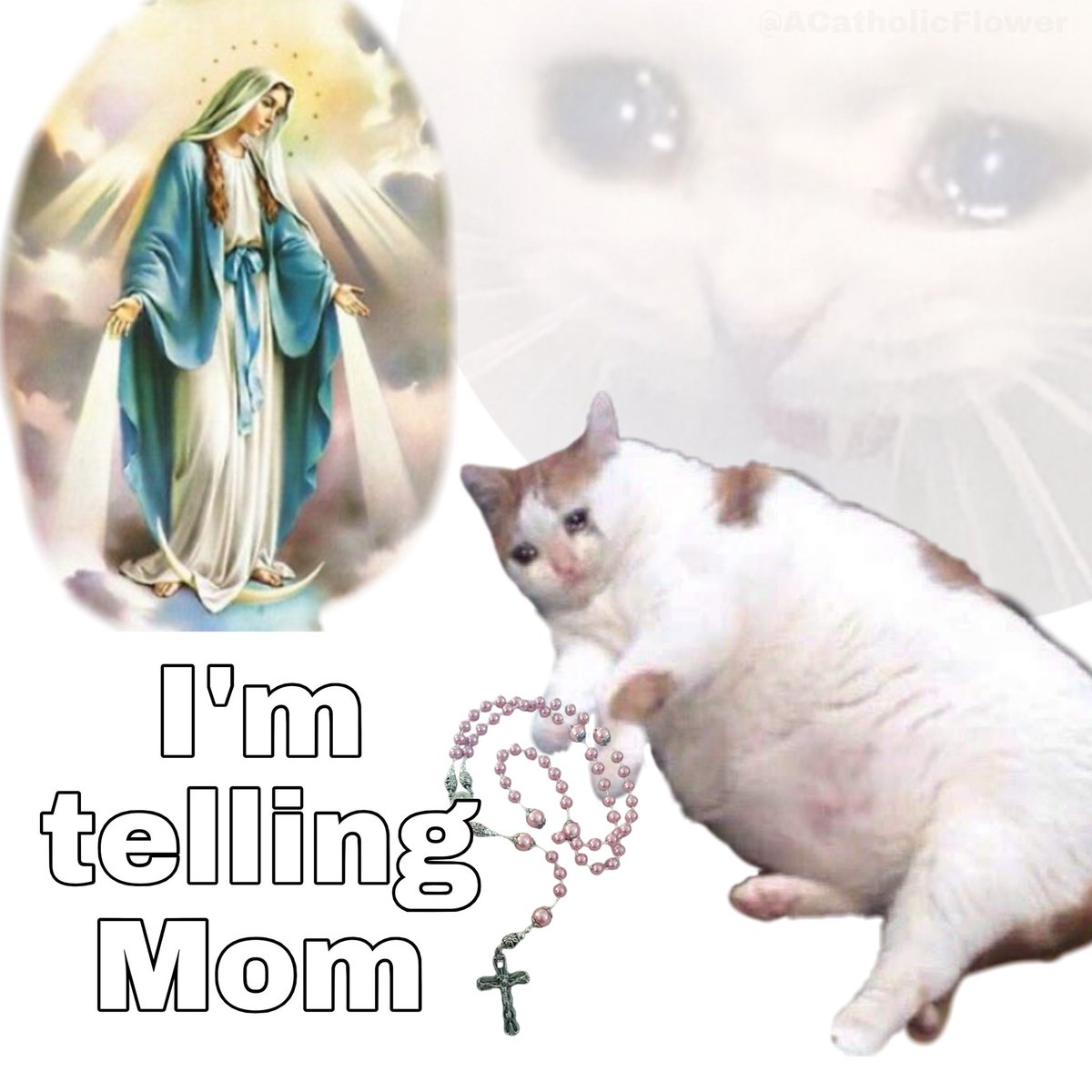 Thérèse 🇻🇦 +JMJ+ tweet media