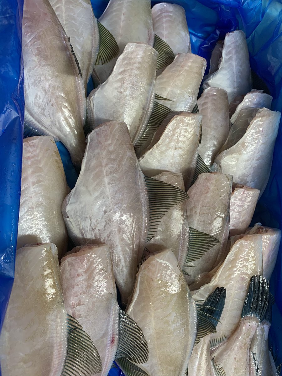 皮をはぎました。お魚の名前分かるかな❓‼️
