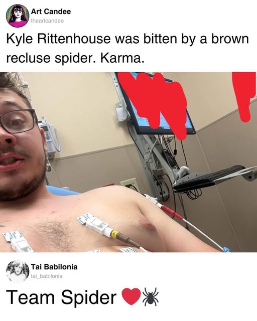 jamie tweet media