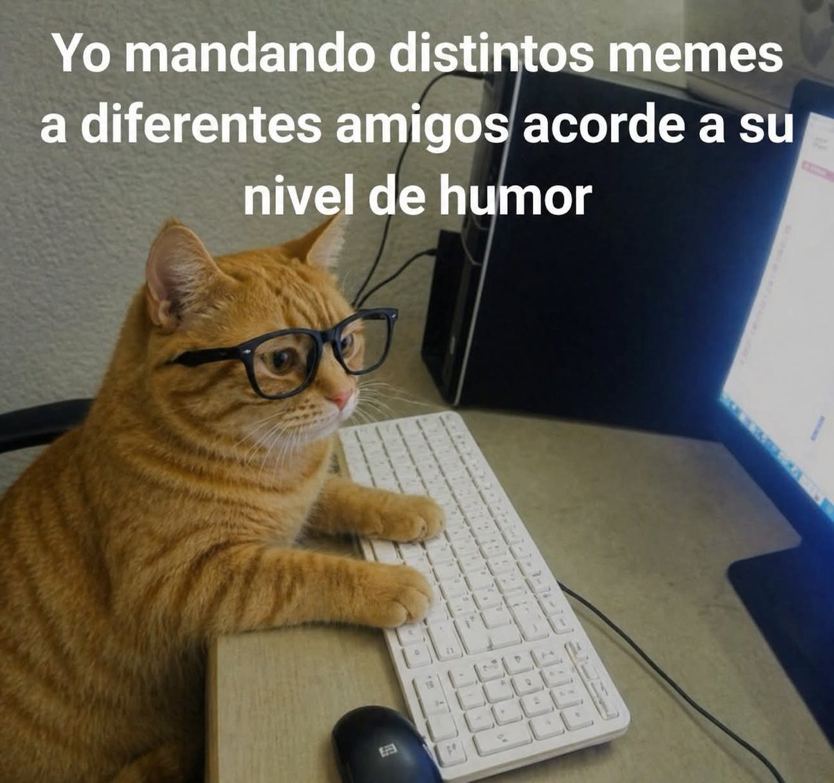 TuzitaMemeX (@tuzitaxtuitera) on Twitter photo 