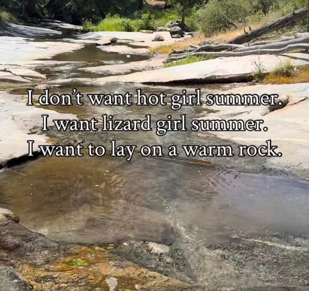 Respectful Memes (@respectfulmemes) on Twitter photo 