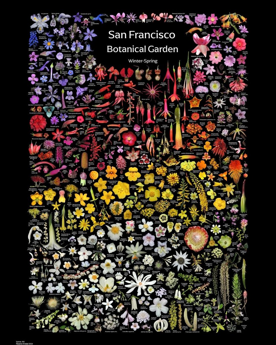 Gardens of Golden Gate Park tweet media