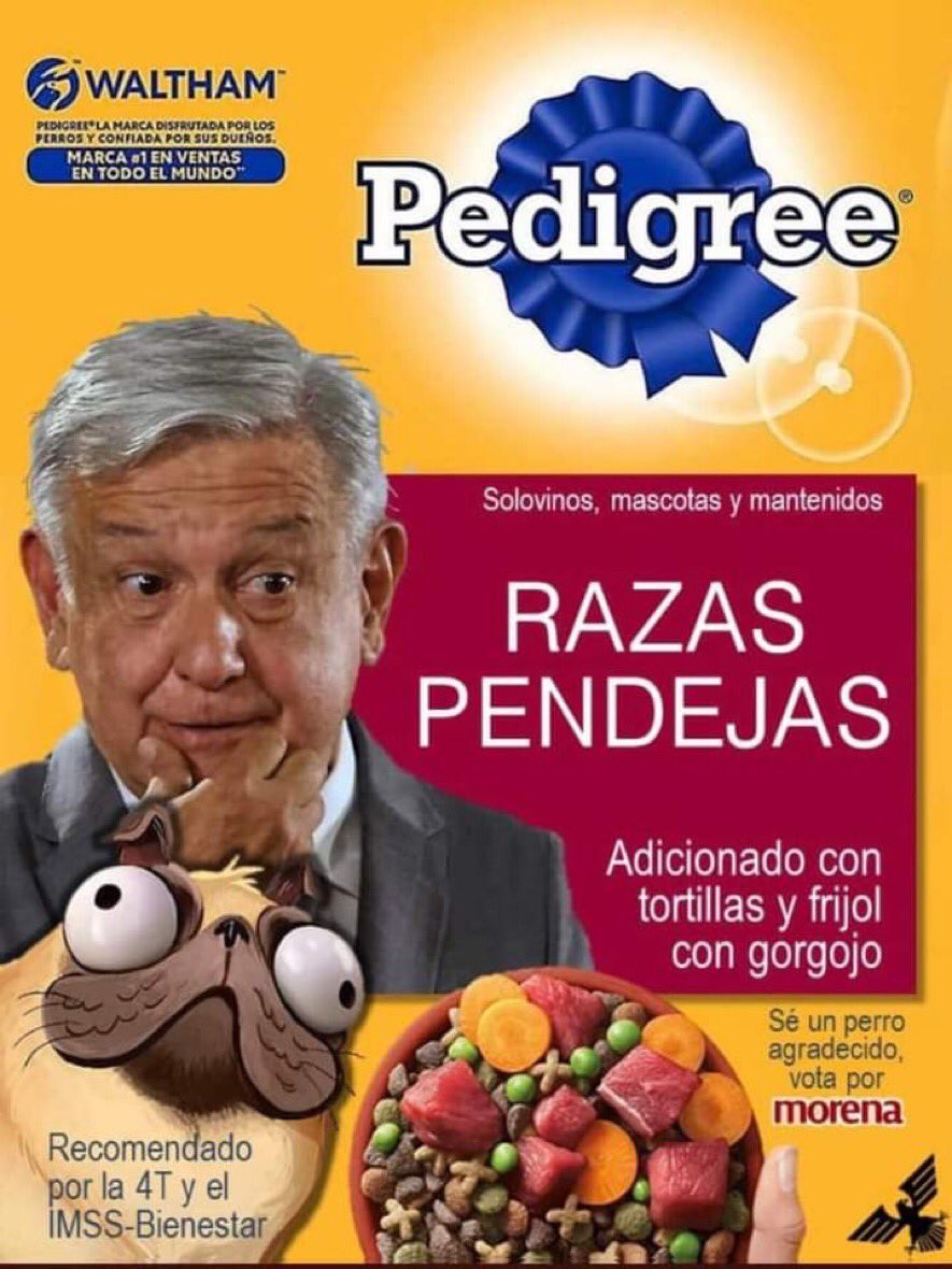 Jaime D.F. tweet media