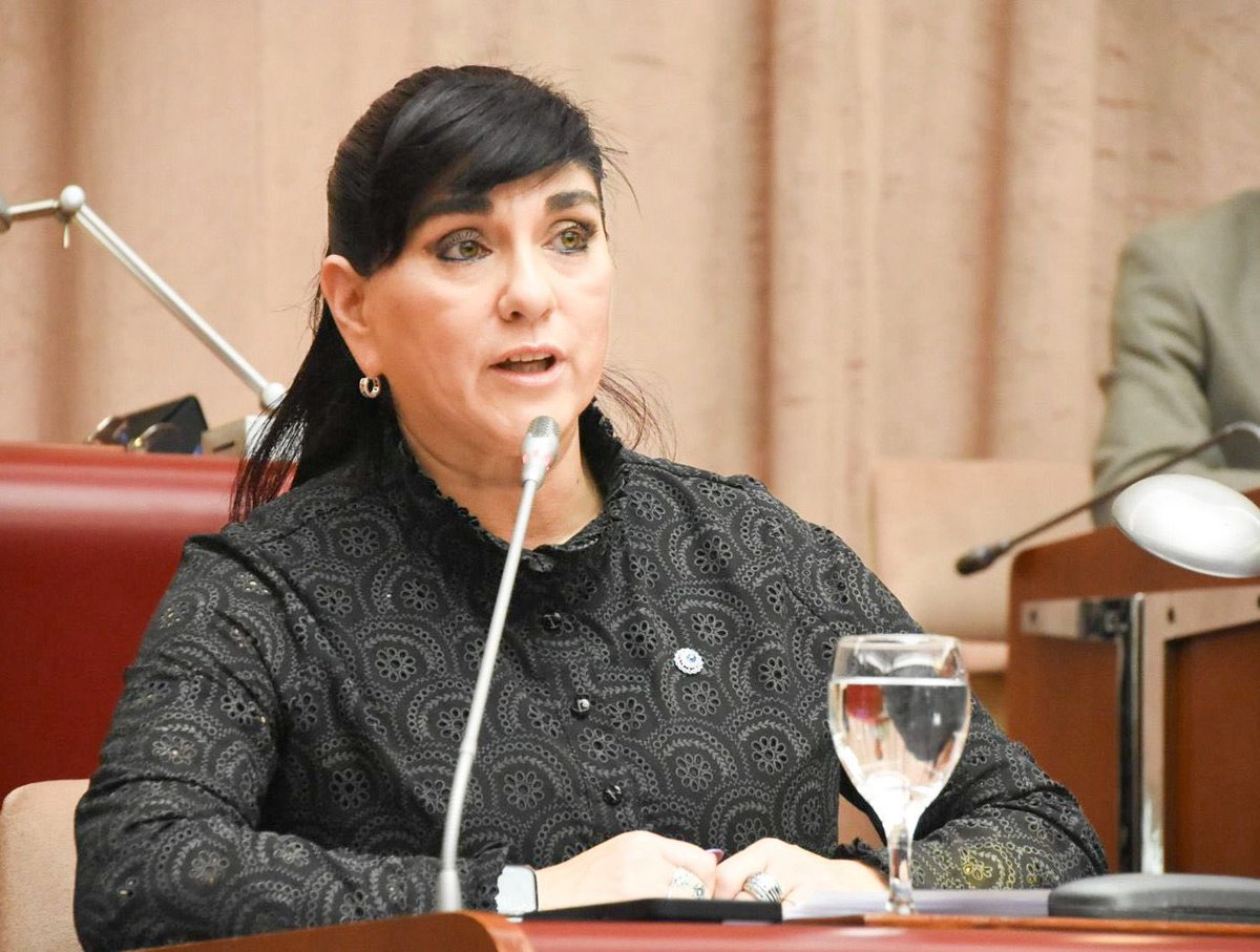 Legislatura del Chubut tweet media
