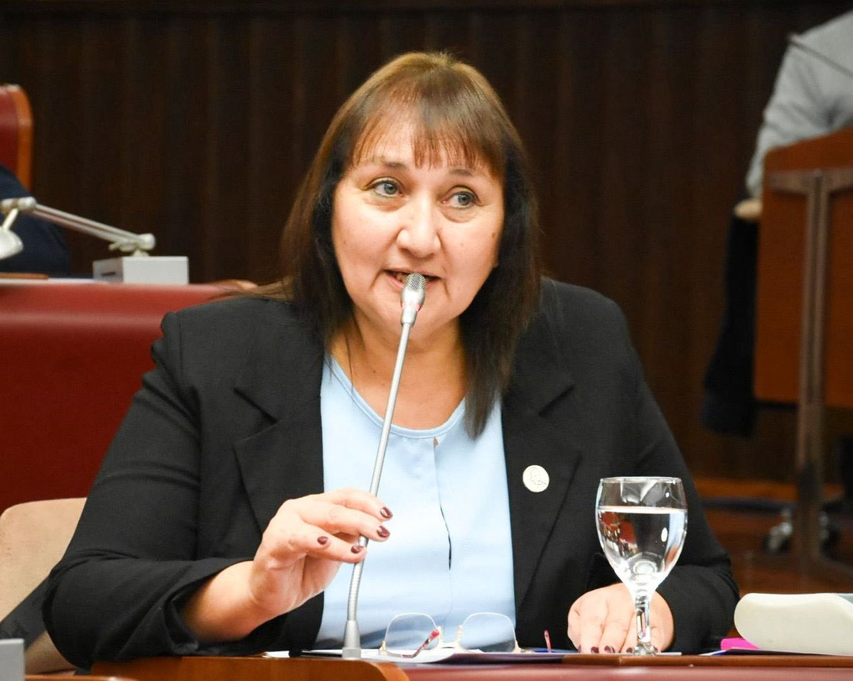 Legislatura del Chubut tweet media