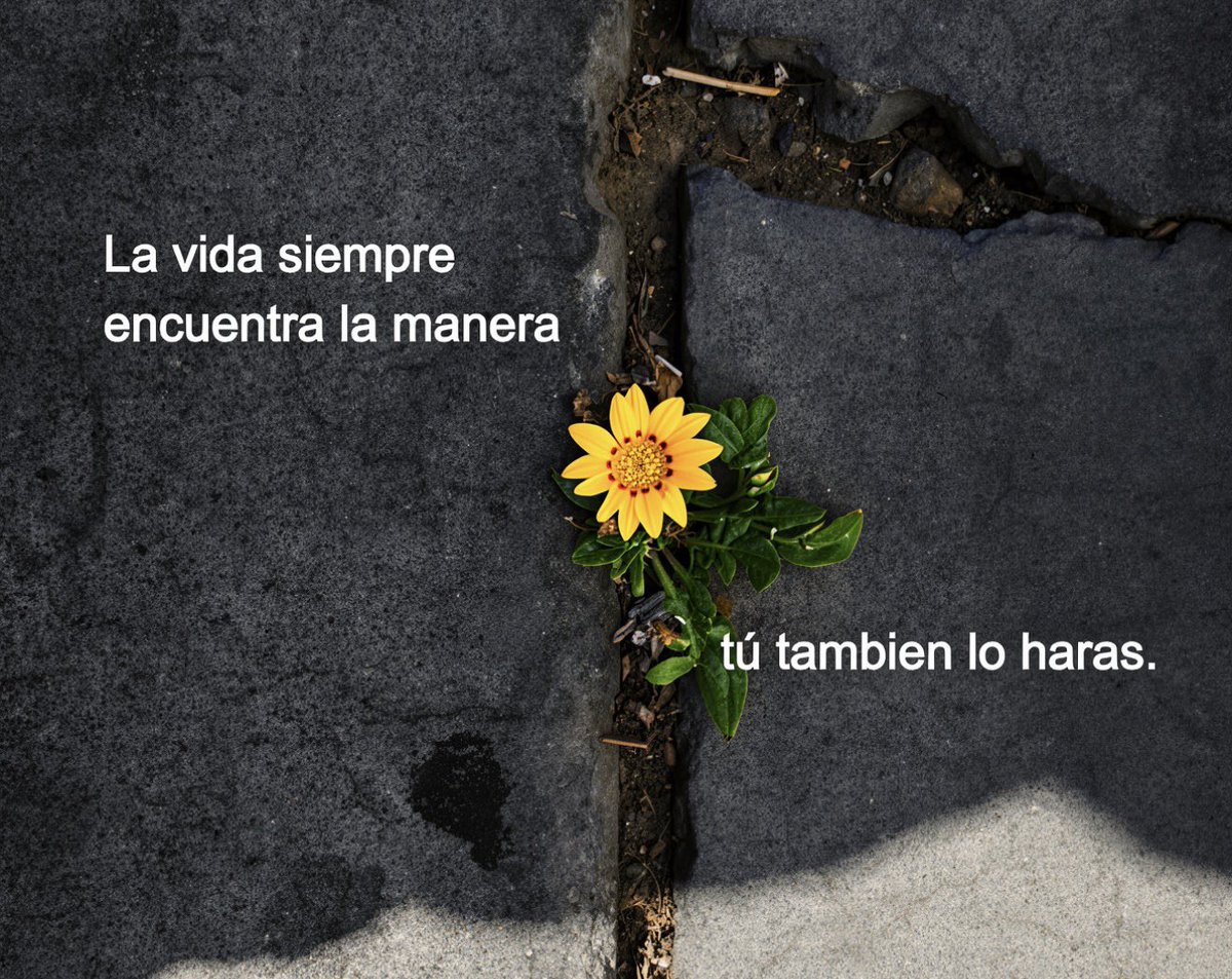 nación (@escritosnacion) on Twitter photo 