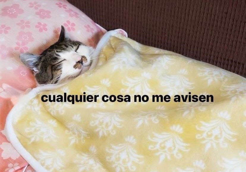 yoo cuando baja la temperatura y empieza a hacer frío