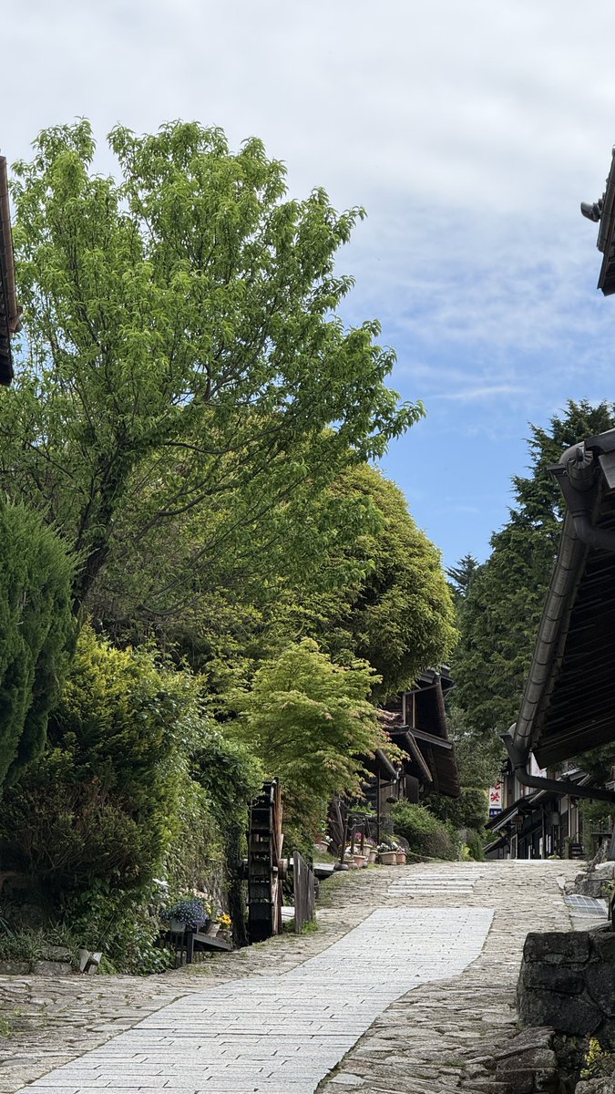 kimuchi583's tweet photo. 馬籠宿の街並みと展望台からの眺めです https://t.co/x6uRHmWeuo