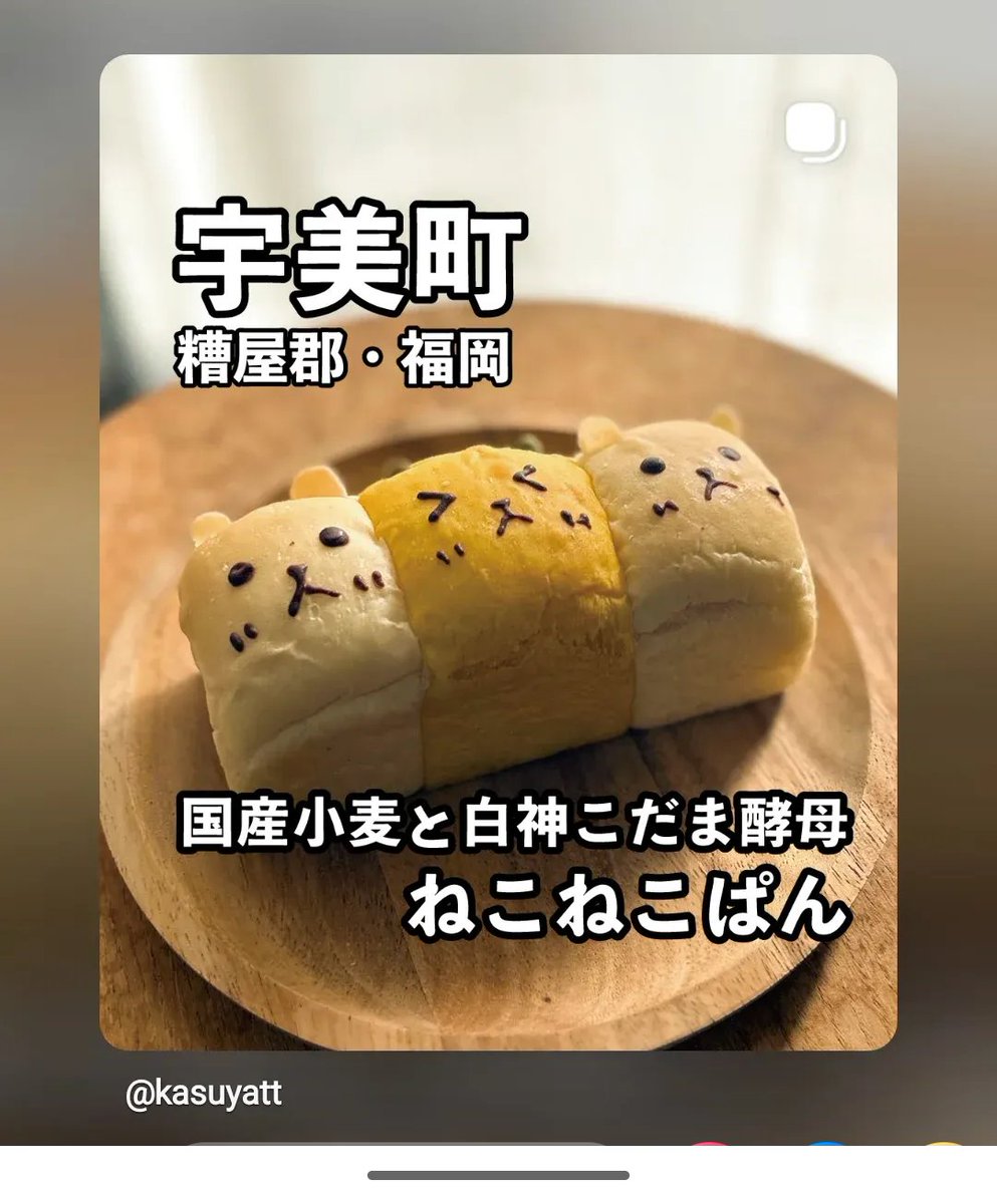 kasuyaT's tweet photo. 宇美町のねこねこぱんを投稿しました☺️

かすや通信Instagram : https://t.co/ORk3Ip8l5i https://t.co/3rrNFwvjh2