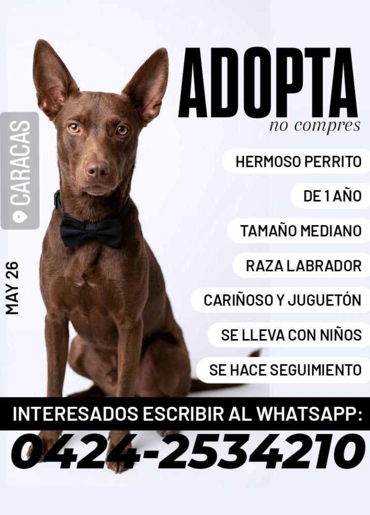 GRACE🇻🇪🆓 tweet media
