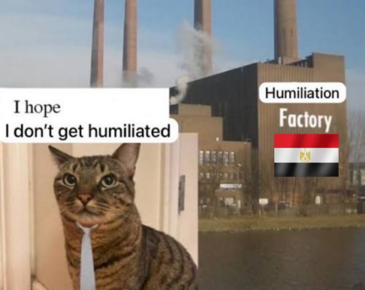 عربي 🇪🇬 tweet media