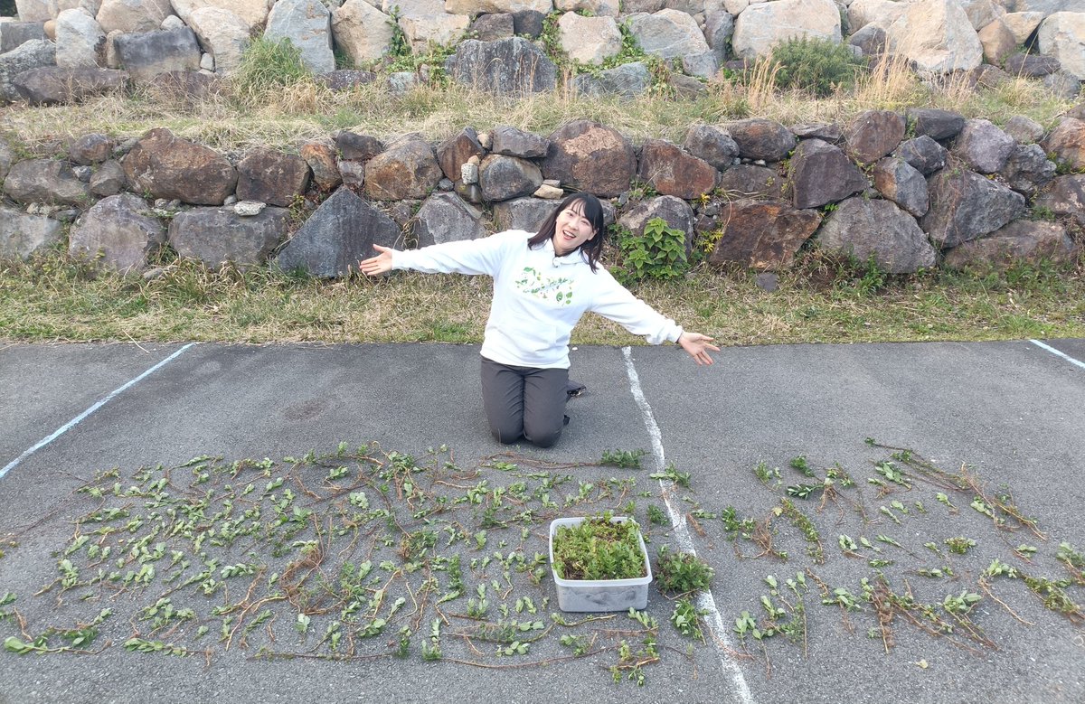 のん🍀365日野草生活®️ tweet media