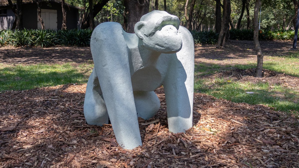 Bosque De Chapultepec tweet media