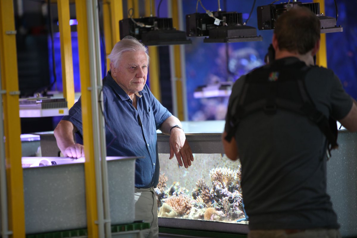 aims_gov_au's tweet photo. Happy 100th birthday, Sir David Attenborough! 

As a bunch of marine science enthusiasts working next to one of your favourite places on Earth, it’s fair to say your career has had a profound impact on the team at AIMS. 

Not least your visit in 2014 😊 https://t.co/jbvY8ZHDZf