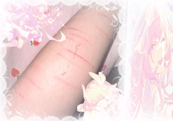 ✚ cᥡrene of 𓃉 𝓈heძtᥕt tweet media
