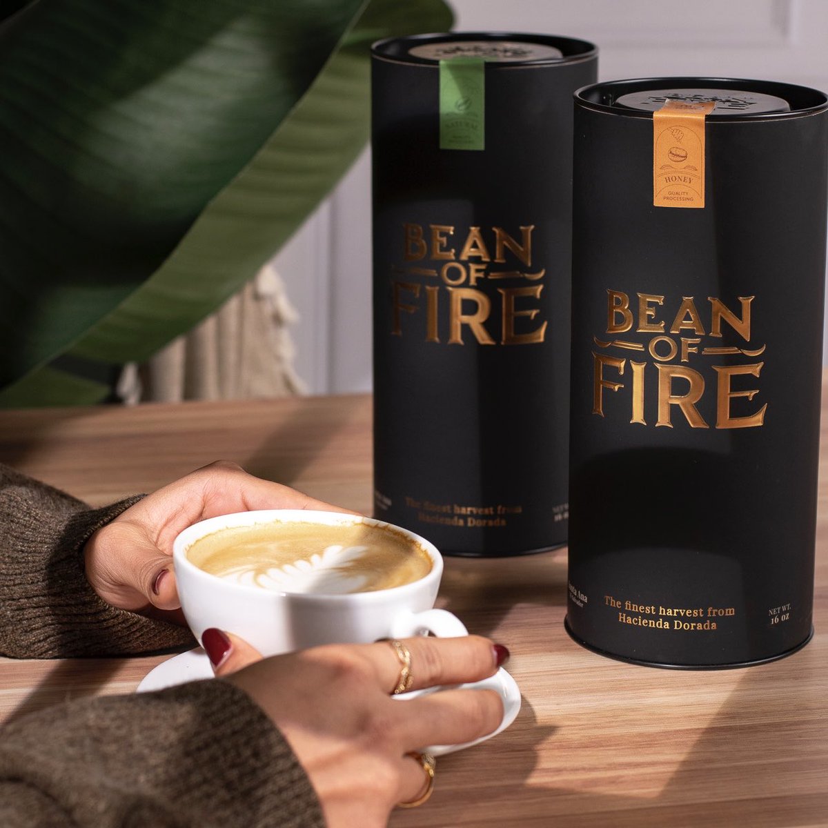 Bean of Fire tweet media