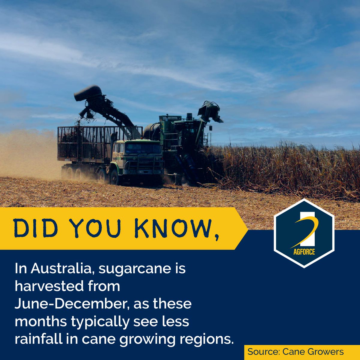 AgForce Queensland tweet media