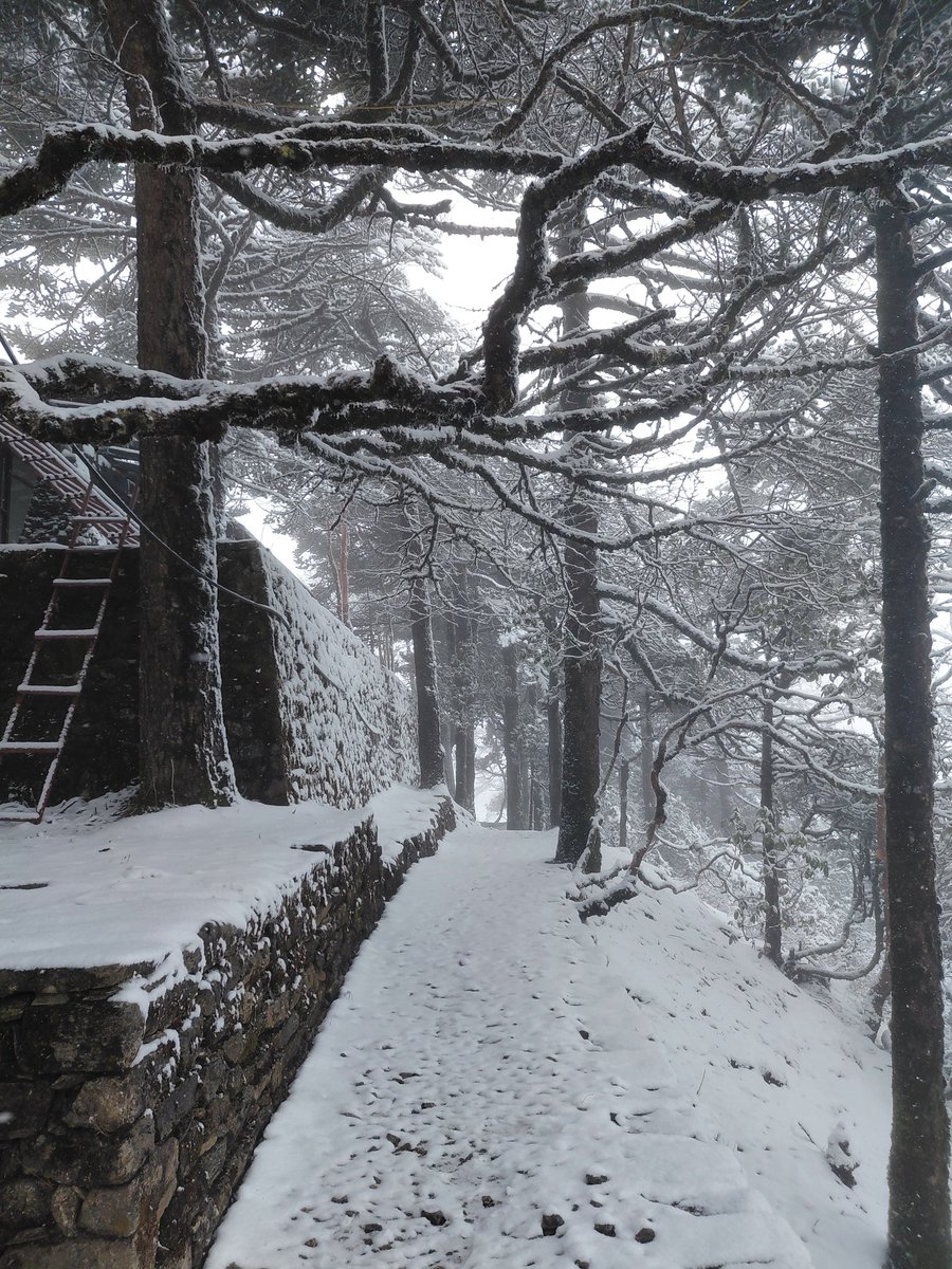eco_glorious's tweet photo. ❄️ Snow at 3,440m? No problem.

Our Island Peak Climb with EBC team nailed their acclimatization hike to Everest View Hotel today.

Tomorrow: Tengboche (3,855m). Onward! 🏔

✅️📲: +977 9851083282
✅️📩: info@gloriousecotrek.com

#islandpeak #everestbasecamp #nepal #himalayas https://t.co/BUL324eie2