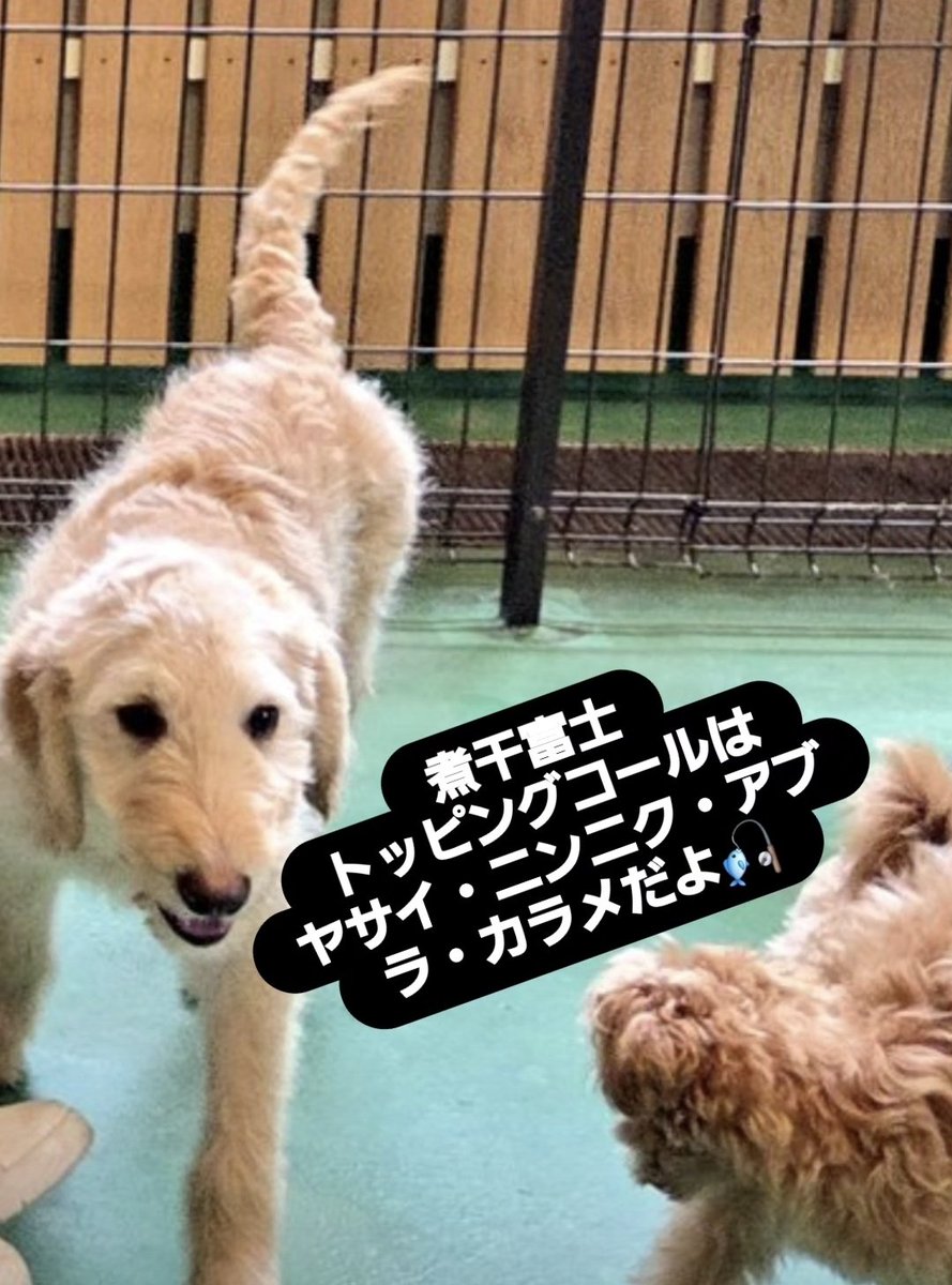 5/8(金) おはようございます🤵‍♂️ 【昼の部】11時〜14時 【夜の部