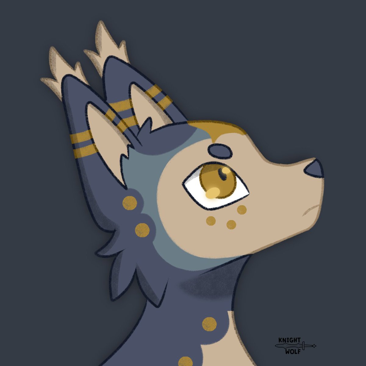 KnightWolf_07's tweet photo. Star Gazing 💫 #Furry https://t.co/sg2BLLX6Dv