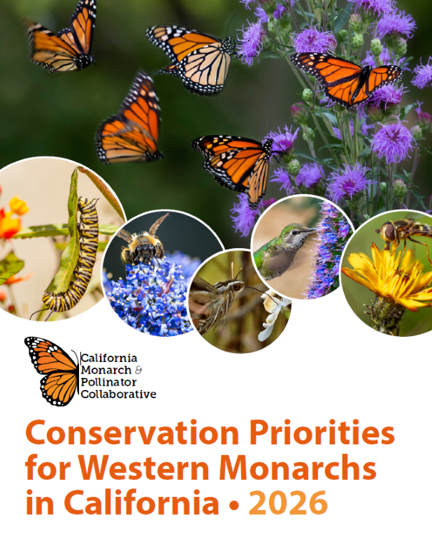 California Department of Fish and Wildlife tweet media