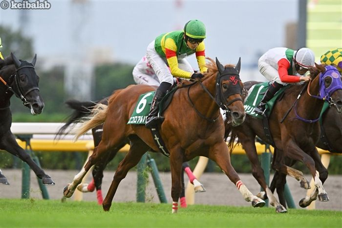 競馬ラボ tweet media