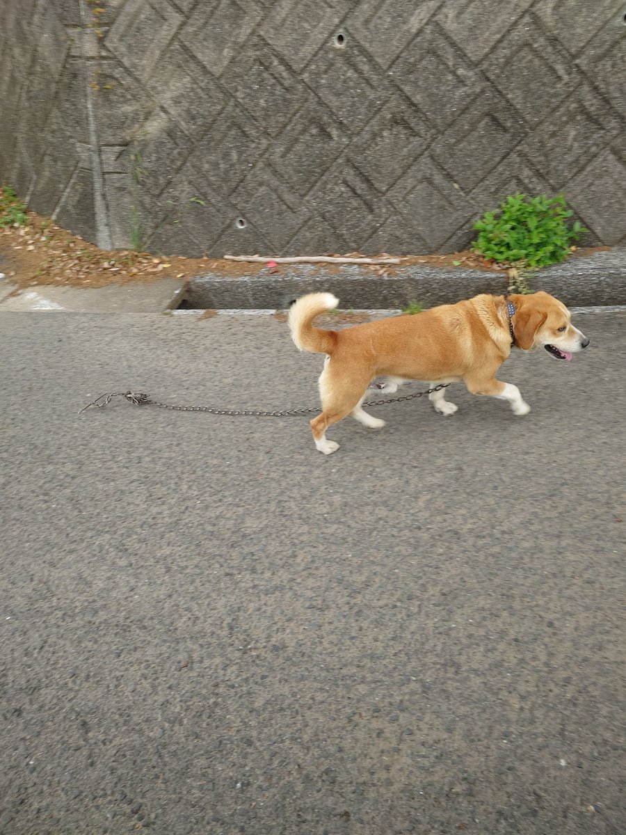 にのまえはじめ tweet media
