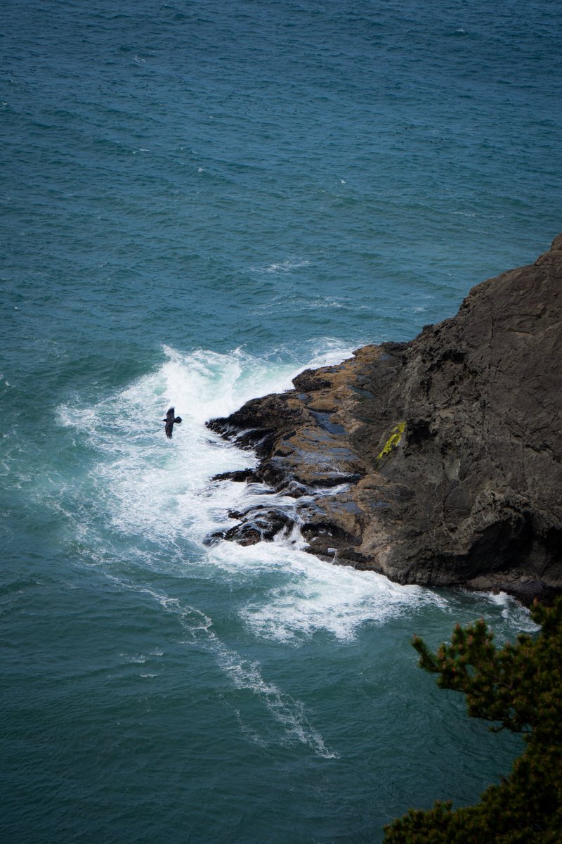 ItsBiskits's tweet photo. #photography thread for my trip to Oregon https://t.co/ROPNNDxqh2