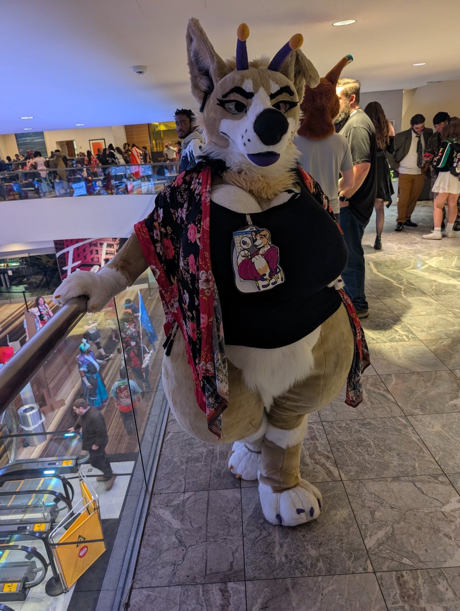 ButterCollie 🐾 tweet media