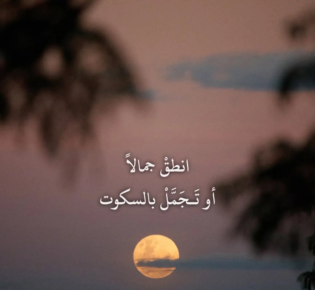 DieySaud's tweet photo. https://t.co/T2xzvSF2Xe