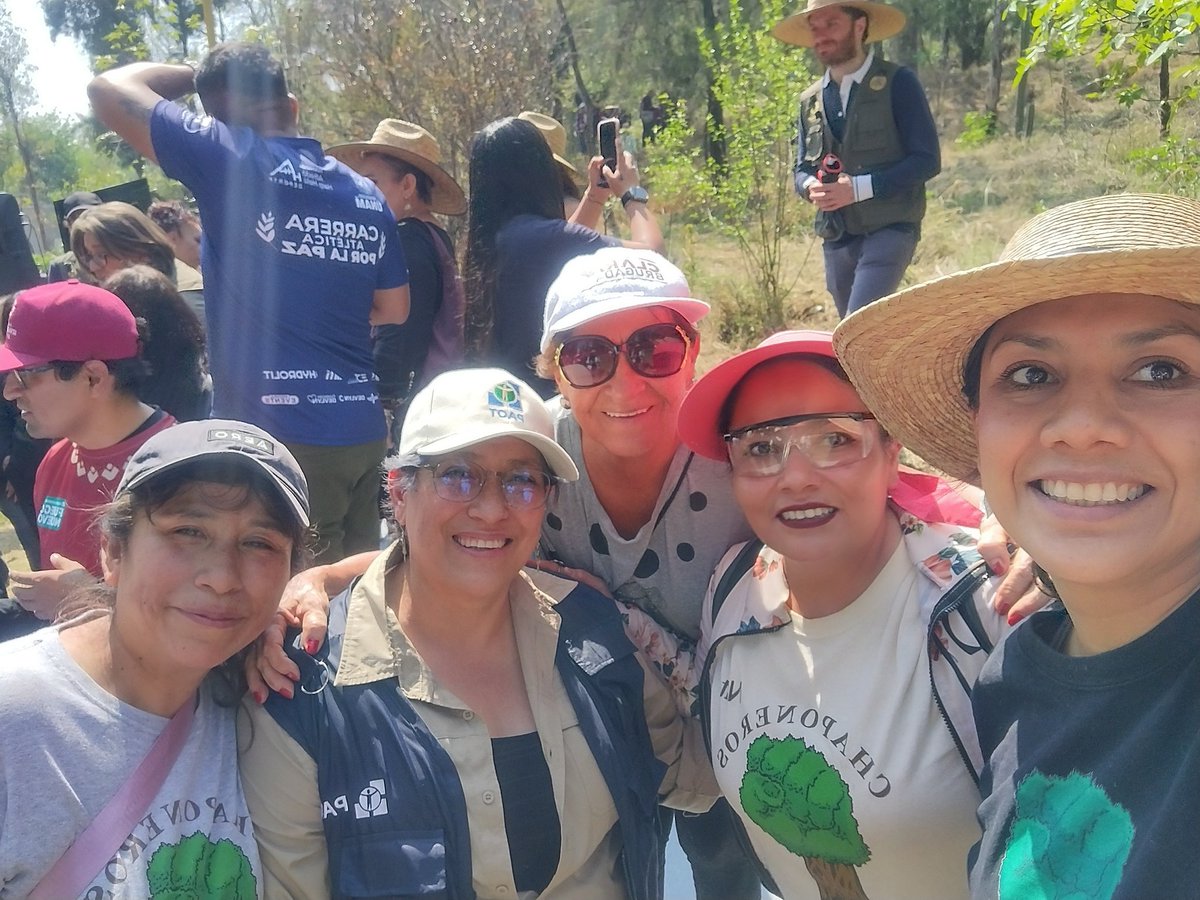 ChaponerosCE's tweet photo. Llegó también  representación de @PAOTmx  q ¡Trabajó un buen rato!  Junto con la representante de PC de Iztapalapa...quitar higuerilla, no fue fácil ¡Pero lo hicimos! https://t.co/M0Ahn77O2t