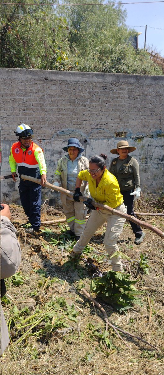 ChaponerosCE's tweet photo. Llegó también  representación de @PAOTmx  q ¡Trabajó un buen rato!  Junto con la representante de PC de Iztapalapa...quitar higuerilla, no fue fácil ¡Pero lo hicimos! https://t.co/M0Ahn77O2t