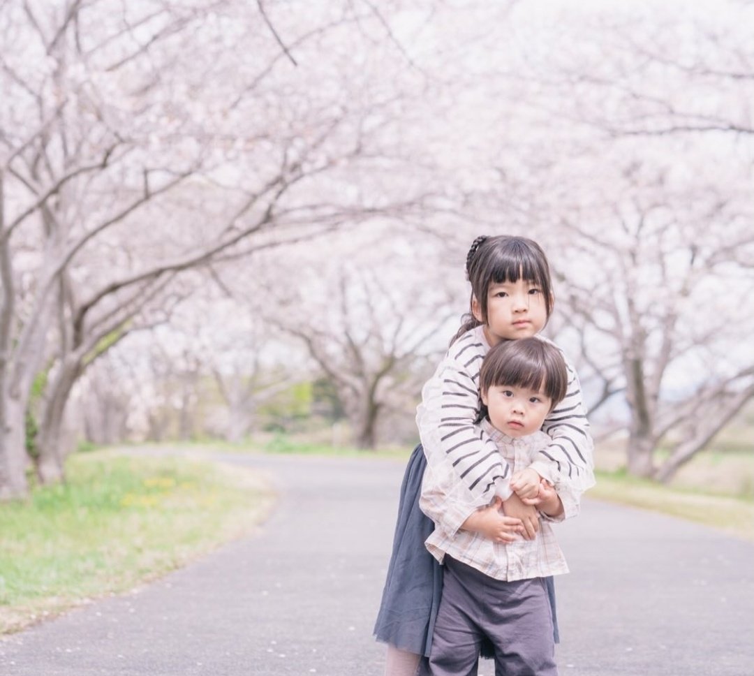 0504hochan's tweet photo. ちょうど1ヶ月前に撮ってもらった桜の写真🌸
ゆーくんが大きくなって写真撮ってもらうことも無かったから素敵なご縁で撮影してもらえて良かった☺️💓
カメラマンもとても優しくてステキな方で😍
姉弟の写真はもちろん家族写真と個人的にママほーちゃんの自然な写真を撮っていただけたことが嬉しい🫶🫶 https://t.co/Lgjglj94cu