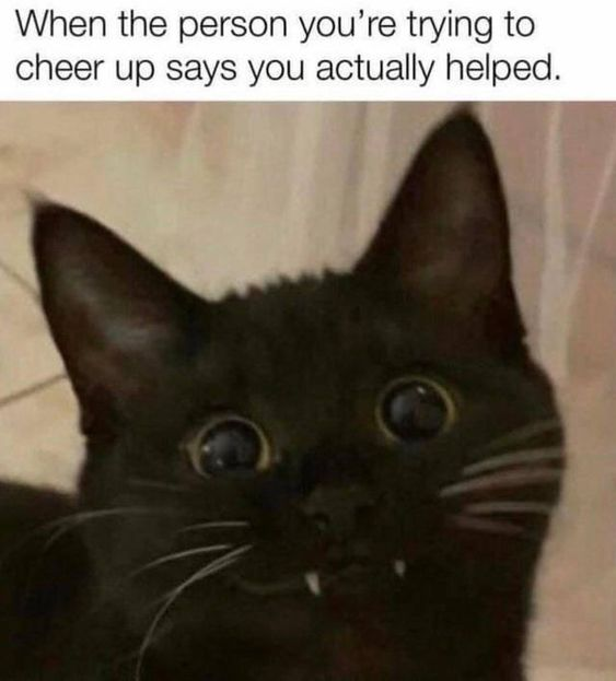 WholesomeMemes (@wholesomememe) on Twitter photo 