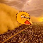 Photo by Crypt0_Wombat (@EmoWombat)