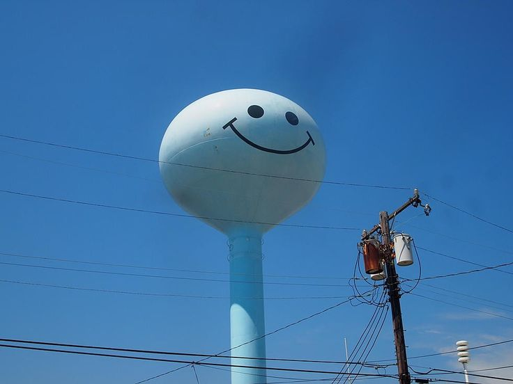 권태 tweet media