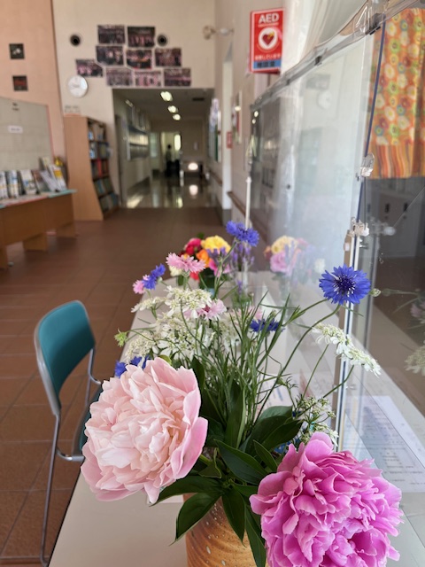 kokonetsano's tweet photo. 5月７日（木）、利用者が家庭で咲いたお花を事務所に届けてくださいました。
ここねっとが一気に明るくなって、心もほっと和みます。いつも、ありがとうございます。

＃佐野市　＃ここねっと　＃市民活動センター　＃心のこもった贈り物　＃花のある暮らし https://t.co/Y72oJrOPiI