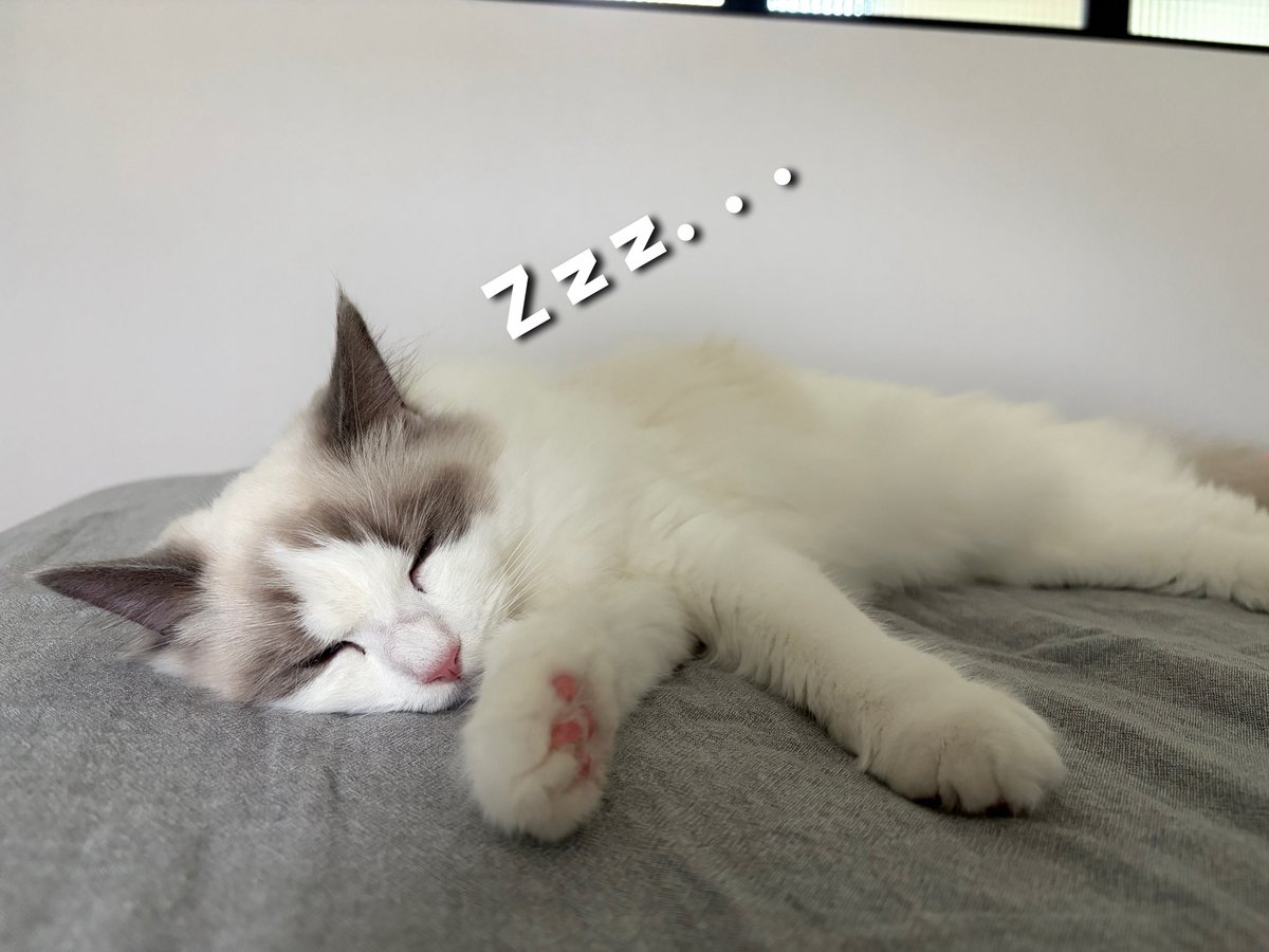 たろう (@tamasha316) / Posts / X