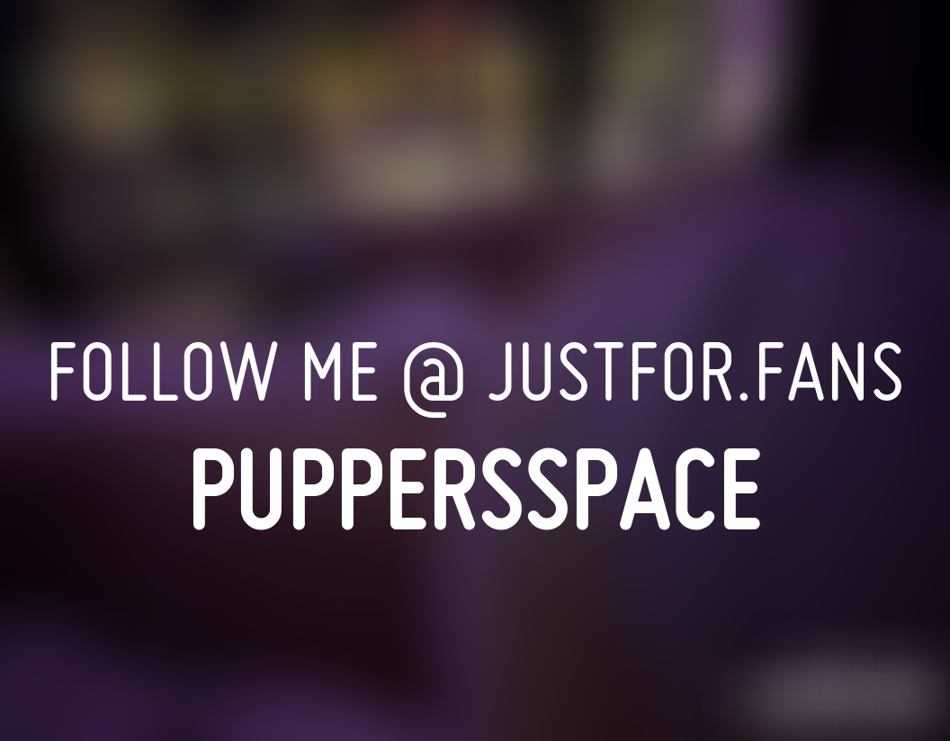 Puppers tweet media