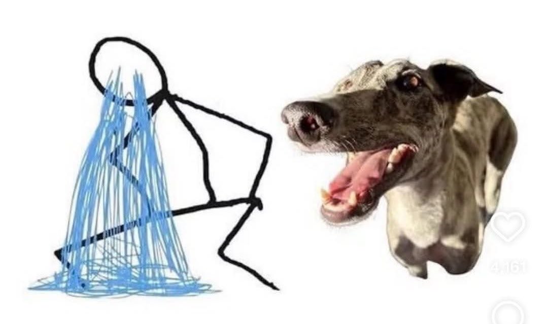 Yo cuando le   |  Mi perrito después 
piso la patita       de hacer parkour
a mi perrito,         sobre mi cara 
sin querer
