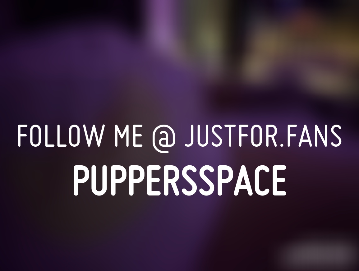 Puppers tweet media