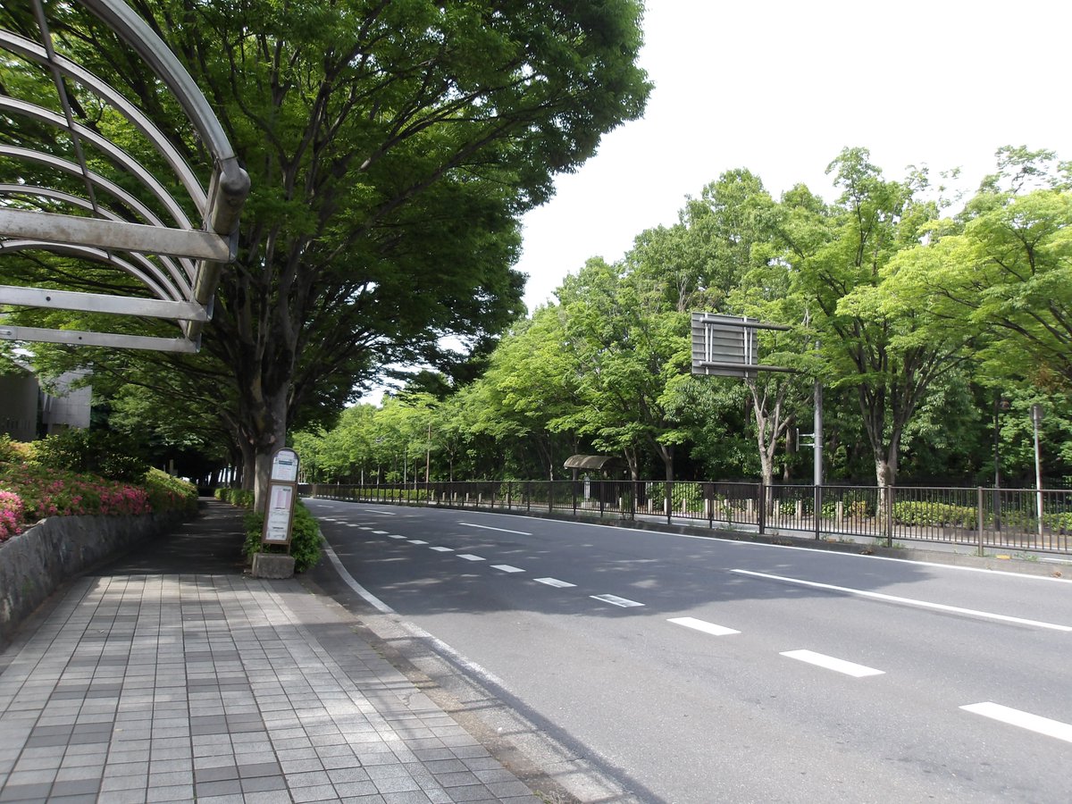 千葉県松戸市（公式） (@matsudo_city) / Posts / X