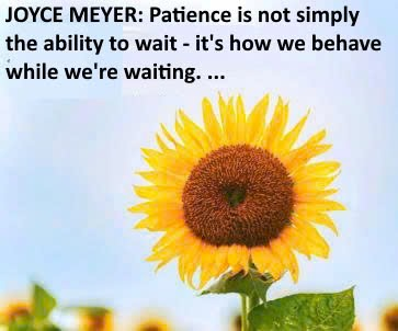 Wish you a nice weekend with another chance to rise stronger, love deeper, forgive easier and walk closer to the life meant for you. Happy Weekend 💖💖💖 #weekend #patience #happy