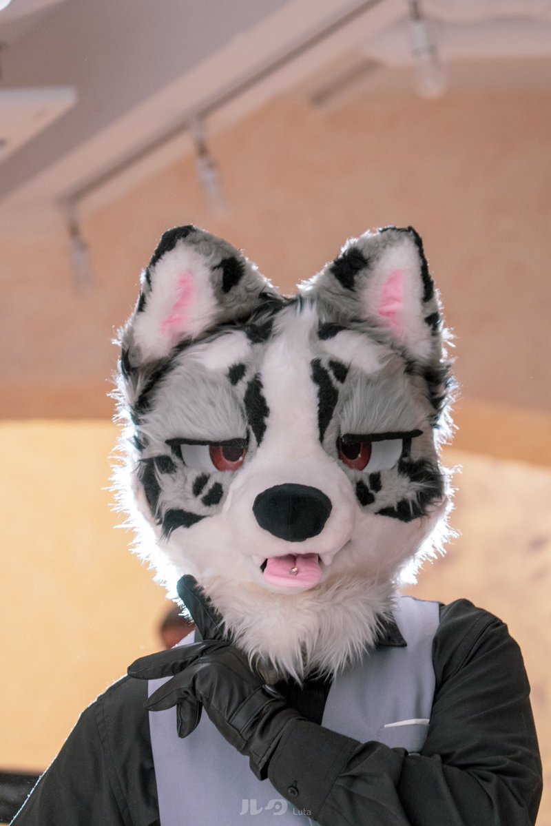 たぶんすごくワルイこと企んでる😈 📸:@daltann_0000 #犬犬写真館